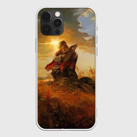Чехол для iPhone 12 Pro Max с принтом русь , Силикон |  | ethnic | folk | runes | slav | руны | русь | славяне | фолк | фольклор | этника | этно | язычество