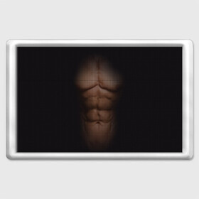 Магнит 45*70 с принтом Сетка , Пластик | Размер: 78*52 мм; Размер печати: 70*45 | Тематика изображения на принте: атлет | грудь | качёк | клетка | кубики | мужик | мышцы | парень | пресс | прозрачный | спорт | тело | торс | фигура