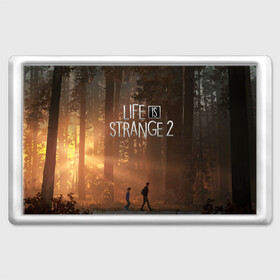 Магнит 45*70 с принтом Life is Strange 2 , Пластик | Размер: 78*52 мм; Размер печати: 70*45 | Тематика изображения на принте: adventure | life | life is strange | road | video game | дороги | жизнь | закат | квест | лес | приключения