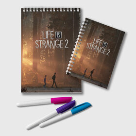 Блокнот с принтом Life is Strange 2 , 100% бумага | 48 листов, плотность листов — 60 г/м2, плотность картонной обложки — 250 г/м2. Листы скреплены удобной пружинной спиралью. Цвет линий — светло-серый
 | adventure | life | life is strange | road | video game | дороги | жизнь | закат | квест | лес | приключения