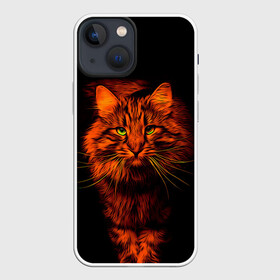 Чехол для iPhone 13 mini с принтом Рыжий кот ,  |  | cat | кот | котик | кошка | рыжая | рыжий