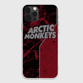 Чехол для iPhone 12 Pro с принтом Arctic Monkeys , силикон | область печати: задняя сторона чехла, без боковых панелей | британская | гараж | группа | инди рок | метал | ню | постпанк | психоделический | рок | хай грин | электроник