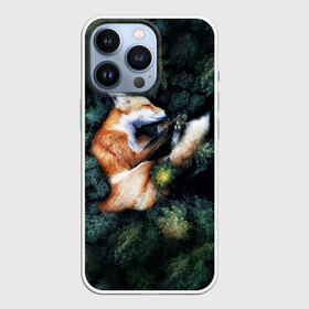 Чехол для iPhone 13 Pro с принтом Лисичка в Лесу ,  |  | Тематика изображения на принте: core | cute | forest | fox | foxes | ginger | world | деревья | забавная | зелень | кино | лес | лис | лиса | лисица | лисицы | лисичка | лисички | лист | листва | лисы | милая | мира | рыжая | рыжие | сердце | смешная | фильм | фыр