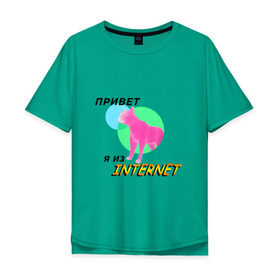 Мужская футболка хлопок Oversize с принтом Привет я из internet , 100% хлопок | свободный крой, круглый ворот, “спинка” длиннее передней части | Тематика изображения на принте: internet | интернет | кот | мем | мемы про котов | надпись | прикол