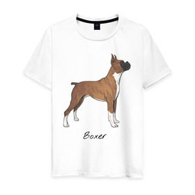 Мужская футболка хлопок с принтом Немецкий Боксер , 100% хлопок | прямой крой, круглый вырез горловины, длина до линии бедер, слегка спущенное плечо. | boxer | dog | боксёр | собака | собака боксер | собаки