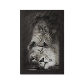 Обложка для паспорта матовая кожа с принтом Лев и львица , натуральная матовая кожа | размер 19,3 х 13,7 см; прозрачные пластиковые крепления | Тематика изображения на принте: животные | кот | кошка | лев | львица | оскал | природа | рык | рычит | хищник