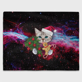 Плед 3D с принтом astro cat , 100% полиэстер | закругленные углы, все края обработаны. Ткань не мнется и не растягивается | art | cat | new year | pizza | space | абстракция | еда | ёлка | звезды | киса | космос | кот | кот в космосе | кот с едой | котенок | котик | кошка | новый год | пицца | праздник | рождество | шапка