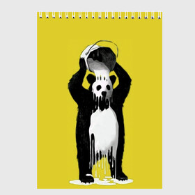 Скетчбук с принтом панда , 100% бумага
 | 48 листов, плотность листов — 100 г/м2, плотность картонной обложки — 250 г/м2. Листы скреплены сверху удобной пружинной спиралью | арт | краска | медведь | панда