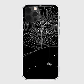 Чехол для iPhone 12 Pro Max с принтом Паутина , Силикон |  | Тематика изображения на принте: вода | день мертвых | дизайнерская | искусство | капли | картинка | круто | лучший | мексика | мода | молодёжная | мрак | насекомое | ночь | паук | паутина | подарок | поздравление | праздник | рисунок