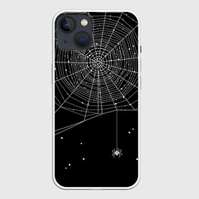 Чехол для iPhone 13 с принтом Паутина ,  |  | вода | день мертвых | дизайнерская | искусство | капли | картинка | круто | лучший | мексика | мода | молодёжная | мрак | насекомое | ночь | паук | паутина | подарок | поздравление | праздник | рисунок