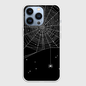 Чехол для iPhone 13 Pro с принтом Паутина ,  |  | вода | день мертвых | дизайнерская | искусство | капли | картинка | круто | лучший | мексика | мода | молодёжная | мрак | насекомое | ночь | паук | паутина | подарок | поздравление | праздник | рисунок