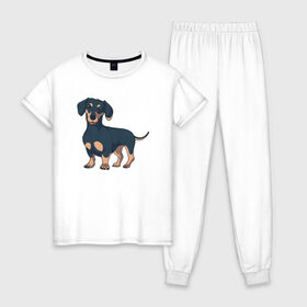Женская пижама хлопок с принтом Такса , 100% хлопок | брюки и футболка прямого кроя, без карманов, на брюках мягкая резинка на поясе и по низу штанин | dachshund | собака | собаки | такса | таксы