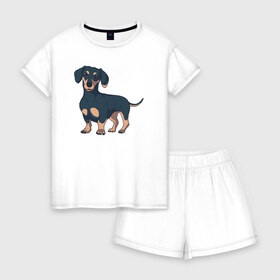 Женская пижама с шортиками хлопок с принтом Такса , 100% хлопок | футболка прямого кроя, шорты свободные с широкой мягкой резинкой | dachshund | собака | собаки | такса | таксы