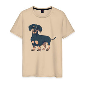 Мужская футболка хлопок с принтом Такса , 100% хлопок | прямой крой, круглый вырез горловины, длина до линии бедер, слегка спущенное плечо. | dachshund | собака | собаки | такса | таксы