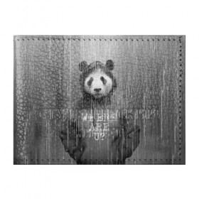 Обложка для студенческого билета с принтом Панда , натуральная кожа | Размер: 11*8 см; Печать на всей внешней стороне | Тематика изображения на принте: дождь | животные | капюшон | кофта | медведь | мишка | панда | природа | хипстер