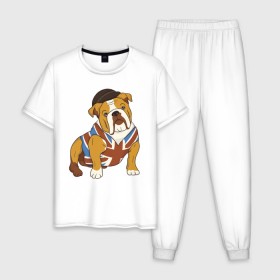 Мужская пижама хлопок с принтом Британский Бульдог , 100% хлопок | брюки и футболка прямого кроя, без карманов, на брюках мягкая резинка на поясе и по низу штанин
 | bulldog | бульдог | собака | собаки