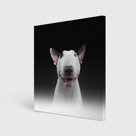 Холст квадратный с принтом Oh snap! , 100% ПВХ |  | bull terrier | dog |   | бультерьер | собака