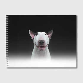 Альбом для рисования с принтом Oh snap! , 100% бумага
 | матовая бумага, плотность 200 мг. | Тематика изображения на принте: bull terrier | dog |   | бультерьер | собака