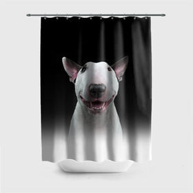 Штора 3D для ванной с принтом Oh snap! , 100% полиэстер | плотность материала — 100 г/м2. Стандартный размер — 146 см х 180 см. По верхнему краю — пластиковые люверсы для креплений. В комплекте 10 пластиковых колец | bull terrier | dog |   | бультерьер | собака