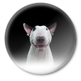 Значок с принтом Oh snap! ,  металл | круглая форма, металлическая застежка в виде булавки | Тематика изображения на принте: bull terrier | dog |   | бультерьер | собака