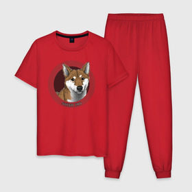 Мужская пижама хлопок с принтом Сиба-ину , 100% хлопок | брюки и футболка прямого кроя, без карманов, на брюках мягкая резинка на поясе и по низу штанин
 | shiba inu | сиба ину | собака | собаки | шиба ину