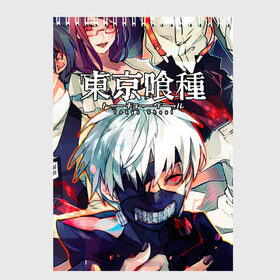 Скетчбук с принтом Tokyo Ghoul (5) , 100% бумага
 | 48 листов, плотность листов — 100 г/м2, плотность картонной обложки — 250 г/м2. Листы скреплены сверху удобной пружинной спиралью | anime | ghoul | manga | tokyo | tokyo ghoul | анмие | гуль | манга | токийский гуль | токио