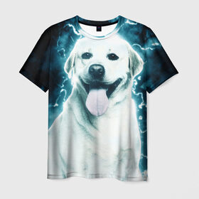 Мужская футболка 3D с принтом Лабрадор , 100% полиэфир | прямой крой, круглый вырез горловины, длина до линии бедер | лабрадор | собака