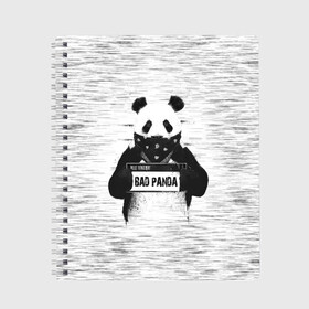 Тетрадь с принтом BAD PANDA , 100% бумага | 48 листов, плотность листов — 60 г/м2, плотность картонной обложки — 250 г/м2. Листы скреплены сбоку удобной пружинной спиралью. Уголки страниц и обложки скругленные. Цвет линий — светло-серый
 | Тематика изображения на принте: bad | bear | panda | медведь | панда