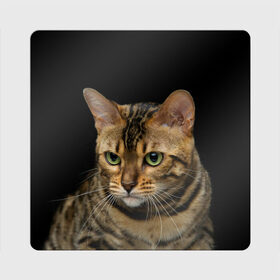 Магнит виниловый Квадрат с принтом Бенгальский кот , полимерный материал с магнитным слоем | размер 9*9 см, закругленные углы | bengal cat | cat | бенгальская кошка | бенгальский | кот | котик | коты | кошки