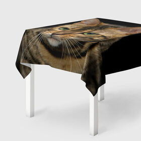 Скатерть 3D с принтом Бенгальский кот , 100% полиэстер (ткань не мнется и не растягивается) | Размер: 150*150 см | bengal cat | cat | бенгальская кошка | бенгальский | кот | котик | коты | кошки