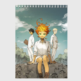 Скетчбук с принтом The Promised Neverland , 100% бумага
 | 48 листов, плотность листов — 100 г/м2, плотность картонной обложки — 250 г/м2. Листы скреплены сверху удобной пружинной спиралью | Тематика изображения на принте: anime | the promised neverland | yakusoku no neverland | аниме | изабелла | манга | норман | обещание волшебной стране | рэй | эмма