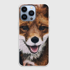 Чехол для iPhone 13 Pro с принтом Лисичка ,  |  | голова | животные | лиса | мордочка | пасть | природа | рыжая | язык