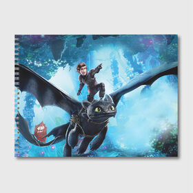 Альбом для рисования с принтом Как приручить дракона , 100% бумага
 | матовая бумага, плотность 200 мг. | dragon | беззубик | викинги | дракон | мульт | мультфильм | фэнтези