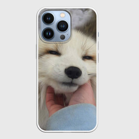 Чехол для iPhone 13 Pro с принтом Лисенок ,  |  | Тематика изображения на принте: голова | животные | лиса | мордочка | пасть | природа | рыжая | улыбается | улыбка | язык