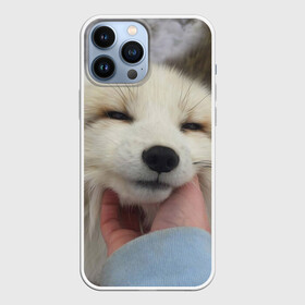 Чехол для iPhone 13 Pro Max с принтом Лисенок ,  |  | голова | животные | лиса | мордочка | пасть | природа | рыжая | улыбается | улыбка | язык