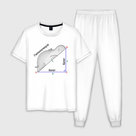 Мужская пижама хлопок с принтом Гиппопотинуза , 100% хлопок | брюки и футболка прямого кроя, без карманов, на брюках мягкая резинка на поясе и по низу штанин
 | гиппопотам. гипотенуза. катет | теорема | треугольник | угол. геометрия. математика. школа