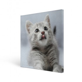 Холст квадратный с принтом Котенок , 100% ПВХ |  | голова | животные | кот | котенок | котик | кошка | мордочка | природа | язык