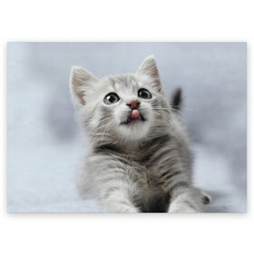 Поздравительная открытка с принтом Котенок , 100% бумага | плотность бумаги 280 г/м2, матовая, на обратной стороне линовка и место для марки
 | голова | животные | кот | котенок | котик | кошка | мордочка | природа | язык