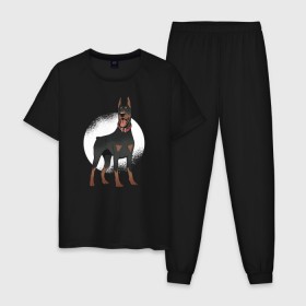 Мужская пижама хлопок с принтом Доберман , 100% хлопок | брюки и футболка прямого кроя, без карманов, на брюках мягкая резинка на поясе и по низу штанин
 | doberman | dobermann | dog | доберман | собака | собаки