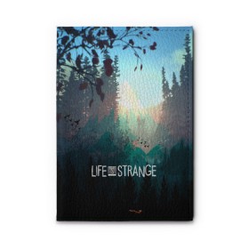 Обложка для автодокументов с принтом Life is Strange , натуральная кожа |  размер 19,9*13 см; внутри 4 больших “конверта” для документов и один маленький отдел — туда идеально встанут права | caulfield | chloe price | game | kate marsh | life | life is strange | life is strange: before the storm | max | strange | две луны | игры | кейт марш | колфилд | макс | подростки | студенты