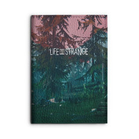 Обложка для автодокументов с принтом Life IS Strange , натуральная кожа |  размер 19,9*13 см; внутри 4 больших “конверта” для документов и один маленький отдел — туда идеально встанут права | caulfield | chloe price | game | kate marsh | life | life is strange | life is strange: before the storm | max | strange | две луны | игры | кейт марш | колфилд | макс | подростки | студенты