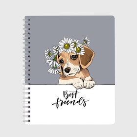 Тетрадь с принтом Best friend , 100% бумага | 48 листов, плотность листов — 60 г/м2, плотность картонной обложки — 250 г/м2. Листы скреплены сбоку удобной пружинной спиралью. Уголки страниц и обложки скругленные. Цвет линий — светло-серый
 | Тематика изображения на принте: backgroun | best | breed | daisies | dog | flowers | friend | green | kid | puppy | wreath | венок | графика | друг | зелёный | картинка | красивый | крутой | лучший | малыш | мода | модный | молодёжная | порода | рисунок | ромашки | собака
