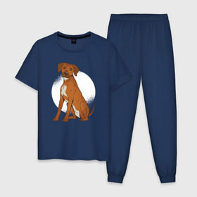 Мужская пижама хлопок с принтом Родезийский риджбек , 100% хлопок | брюки и футболка прямого кроя, без карманов, на брюках мягкая резинка на поясе и по низу штанин
 | rhodesian ridgeback | ridgeback | риджбек | собака | собаки