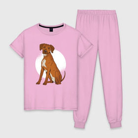 Женская пижама хлопок с принтом Родезийский риджбек , 100% хлопок | брюки и футболка прямого кроя, без карманов, на брюках мягкая резинка на поясе и по низу штанин | Тематика изображения на принте: rhodesian ridgeback | ridgeback | риджбек | собака | собаки
