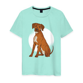 Мужская футболка хлопок с принтом Родезийский риджбек , 100% хлопок | прямой крой, круглый вырез горловины, длина до линии бедер, слегка спущенное плечо. | rhodesian ridgeback | ridgeback | риджбек | собака | собаки