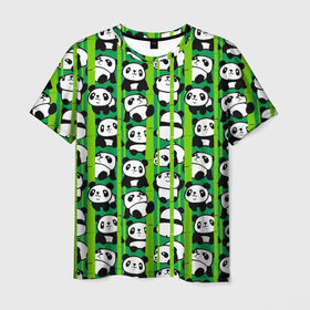 Мужская футболка 3D с принтом Медведи панда , 100% полиэфир | прямой крой, круглый вырез горловины, длина до линии бедер | animals | bamboo | bears | branches | funny | panda | trees | аниме | бамбук | весёлые | ветки | графика | деревья | животные | зелёный | искусство | картинка | красивый | крутой | малыши | медведи | мода | модный | молодёжная