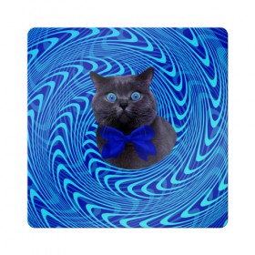 Магнит виниловый Квадрат с принтом Гипнотический кот , полимерный материал с магнитным слоем | размер 9*9 см, закругленные углы | big | арт | крупные арты | крупные принты | сумасшедшие арты