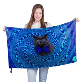 Флаг 3D с принтом Гипнотический кот , 100% полиэстер | плотность ткани — 95 г/м2, размер — 67 х 109 см. Принт наносится с одной стороны | big | арт | крупные арты | крупные принты | сумасшедшие арты