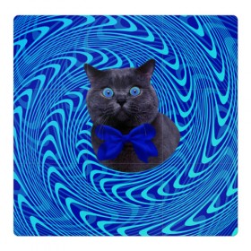 Магнитный плакат 3Х3 с принтом Гипнотический кот , Полимерный материал с магнитным слоем | 9 деталей размером 9*9 см | big | арт | крупные арты | крупные принты | сумасшедшие арты