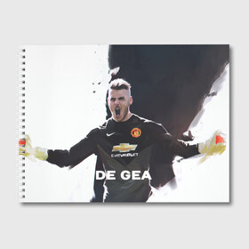 Альбом для рисования с принтом De Gea , 100% бумага
 | матовая бумага, плотность 200 мг. | de gea | fellaini | lukaku | manchester | manchester united | mufc | rooney | де хеа | лукаку | манчестер | манчестер юнайтед | феллайни | футбол